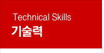 Technical Skills 湲곗����